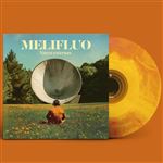 Voces Externas - Vinilo