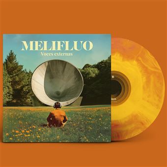 Voces Externas - Vinilo