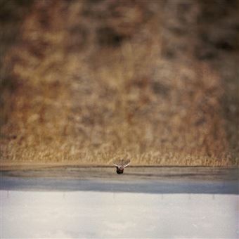 Banda Sonora Original, Jim O'Rourke - 1