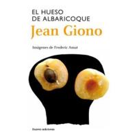 El hueso del albaricoque