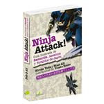 Ninja attack