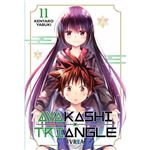 Ayakashi Triangle 11