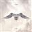 Icarus Falls - 2 CD