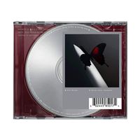 Twelve Carat Toothache - CD