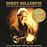 Live At The Royal Festival Hall London - CD