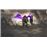 Consola Nintendo Switch Diablo III + Funda - Ed limitada_4