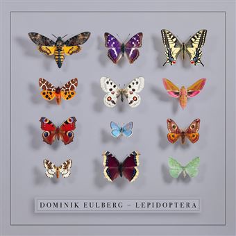 Lepidoptera - 2 Vinilos