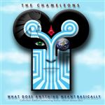 What Does Anything Mean? Basically Collectors Edition