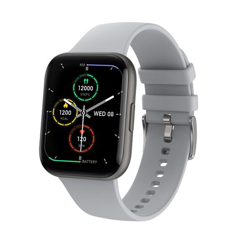 Montre connect&eacute;e SMARTY TRENDY SMARTY 2.0 Acier inoxydable Gris 