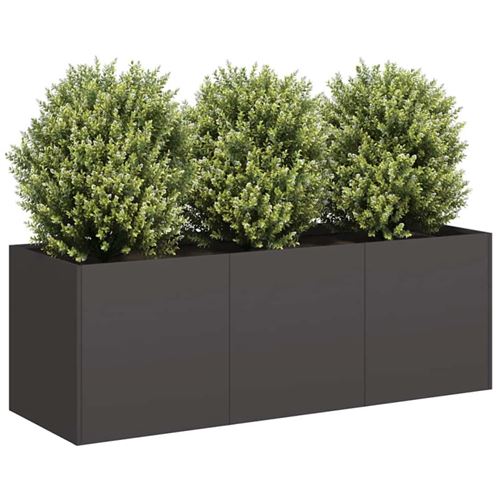 VIDAXL - Jardinière - 120x40x40 cm - Noir - Image 2