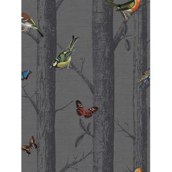 Avoir Images Les Oiseaux Sur Branches Papier Peint Gris Fonce Decors Et actualisé salutations