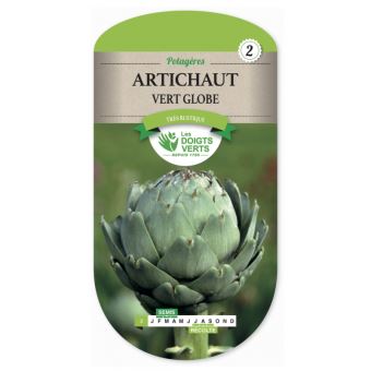 Semence Artichaut Vert Globe Plantes Graines Et Bulbes Achat