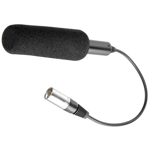 Panasonic Microphone directionnel pour Caméscope HMC71E/HMC151E/HMC41E