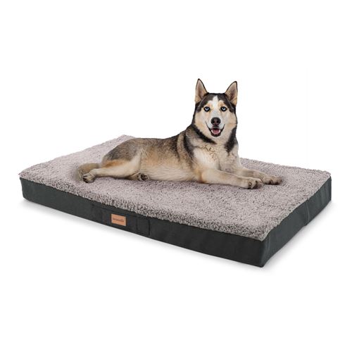 Meilleurs prix pour Panier pour chien - Brunolie Balu - Coussin pour chien - Taille L (100 x 10 x 65 cm) - Mousse - Gris
