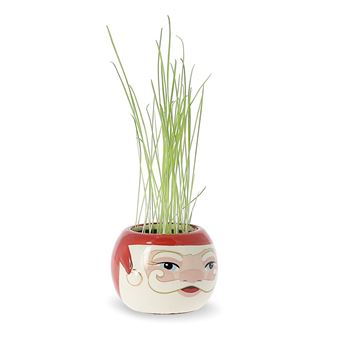 Papá Noel para cultivar