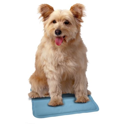 Snugglesafe - Plaque rafraîchissante - Animaux (40cm x 30cm) (Bleu) - UTVP2881