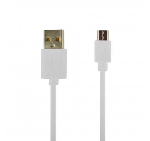 Câble data USB / Type C Blanc / 2 Mètres