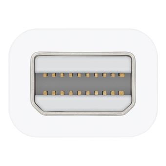 貴重 Apple Thunderbolt to FireWire Adapter Apple Thunderbolt to FireWire Adapter - FireWire-Adapter