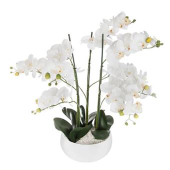 orchidée pot céramique blanc 65cm - 1