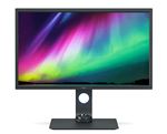 BenQ PhotoVue SW321C - SW Series - écran LED - 32" - 3840 x 2160 4K UHD (2160p) @ 60 Hz - IPS - 250 cd/m² - 1000:1 - HDR10 - 5 ms - 2xHDMI, DisplayPort, USB-C - gris