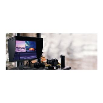 BenQ PhotoVue SW321C - SW Series - écran LED - 32" - 3840 x 2160 4K UHD (2160p) @ 60 Hz - IPS - 250 cd/m² - 1000:1 - HDR10 - 5 ms - 2xHDMI, DisplayPort, USB-C - gris