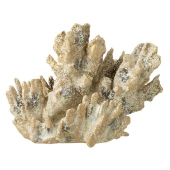 Corail Déco "Evasion" 29cm Marron & Or - 1