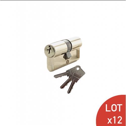 Cylindre de 80 mm (35x45) varié laiton poli 3 clés laiton nickelé x12