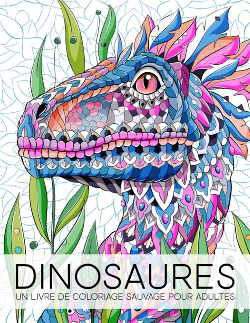 Livre de coloriage Dinosaures - Adultes - 30 pages - Format A4