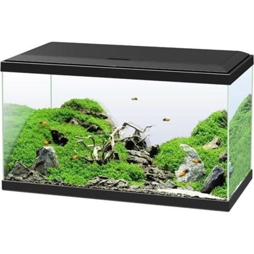 Comparer les prix de Aquarium  CIANO  60 L  Filtre  LED  Chauffage  FOAM 30PPI  CF80