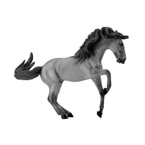  Cheval Lusitanien - Etalon gris