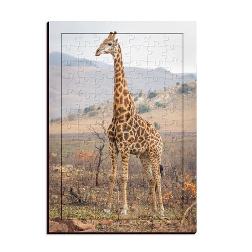 Puzzle horloge 3d girafe en bois enfant