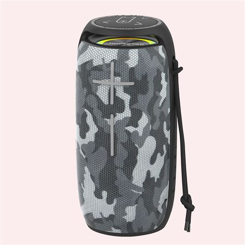 Enceinte sans fil HOPESTAR P29 Portable Waterproof Camouflage Gris