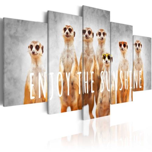 Tableau - Enjoy the sunshine .Taille : 100x50