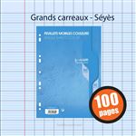 Feuilles Simples Jaune Perforées – Grands Carreaux – 100 pages – Seyes – A5  – 80gr – 17*22 – Buroland