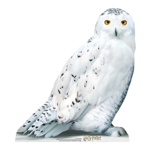 Ballon Chouette Blanche Style Harry Potter Hedwig 