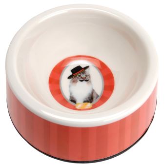 Ecuelle Pour Chat Petit Espagnol Achat Prix Fnac