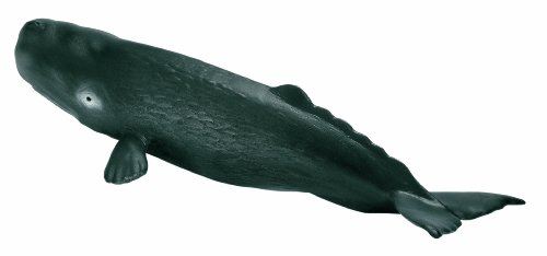 Schleich Animaux de Mer Sperm Whale Veau