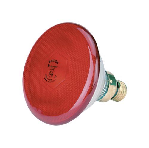 Philips - Lampe infra rouge 175w