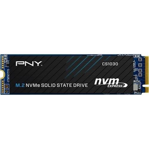PNY CS1030 500 Go