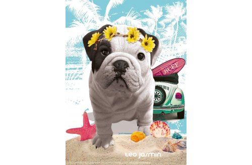  Puzzle chien teo jasmin california - 500 pieces - nathan collection animaux photo d art 
