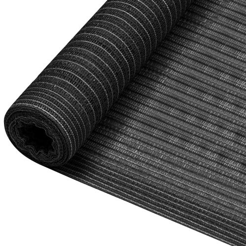 vidaXL Filet brise-vue Anthracite 2x10 m PEHD 150 g/m²
