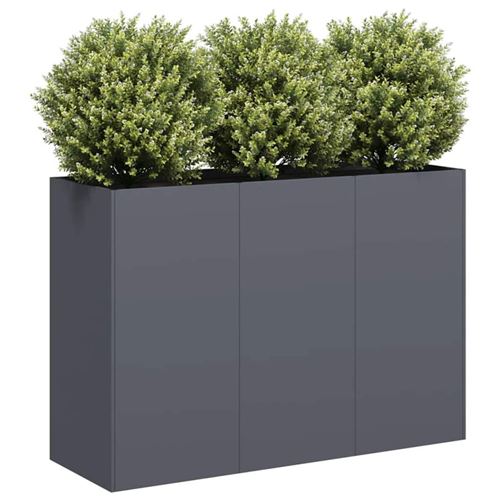 VIDAXL - Jardinière - 120x40x80 cm - Anthracite - Image 3