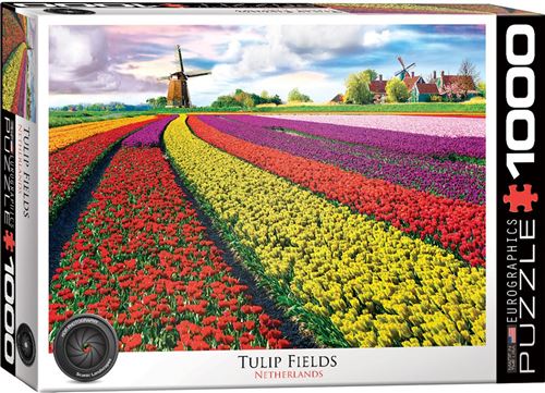 Eurographics Tulip Fields Netherlands (1000)