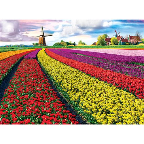 Puzzle 1000 Pièces : Champ De Tulipes Eurographics