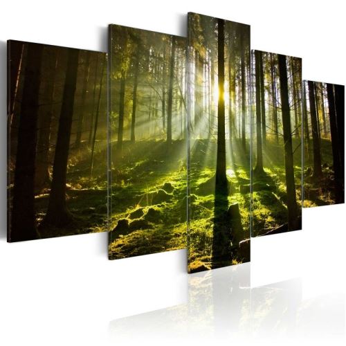 Tableau - Silence de printemps .Taille : 100x50