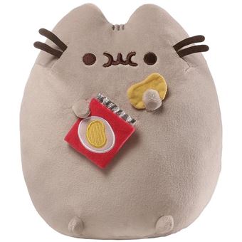 Pusheen potato chips/peluche