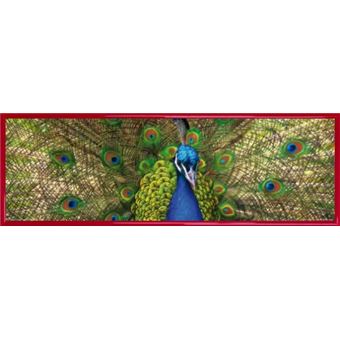 Poster Reproduction Encadré: Paons - Un Éventail De Couleurs (30x91 cm ...