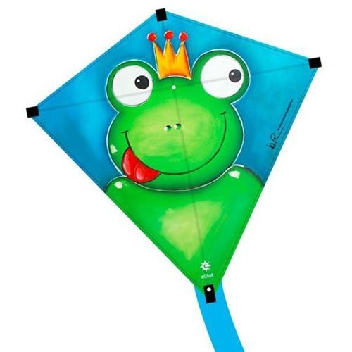un cerf-volant Eddy Karel Kikker 75 x 75 cm bleu / vert