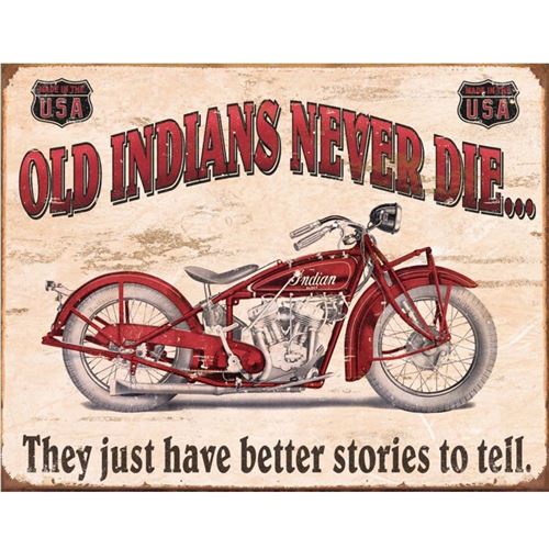 NA Plaque métallique Indian 40.5 x 31.5 cm