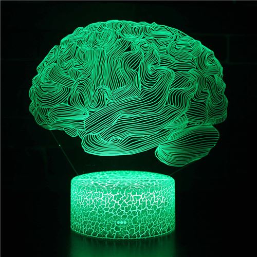 Lampe 3D Tactile Veilleuses Enfant 7 Couleurs avec Telecommande - Organes #304